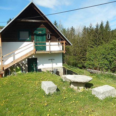 Ferienhaus Am Reitbauernhof Luckyranch Mellach  エクステリア 写真