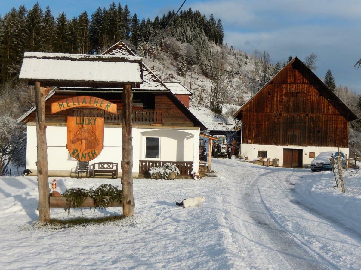 Ferienhaus Am Reitbauernhof Luckyranch Mellach  エクステリア 写真